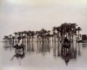 Menn på kameler mens de krysser et egyptisk ørkenområde oversvømmet av Nilen, Egypt av Félix Bonfils