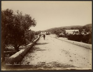 Palestina - Kolonick, Terebint-dalen av Félix Bonfils