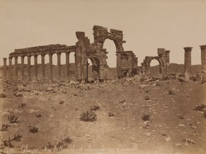 Palmyra: oversikt over triumfbuen og søylegangen av Félix Bonfils