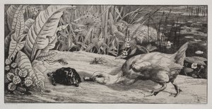 En ukjent av Felix Bracquemond
