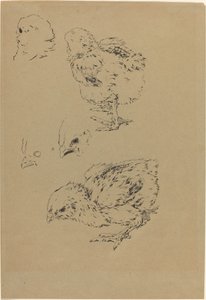 Kyllinger av Felix Bracquemond