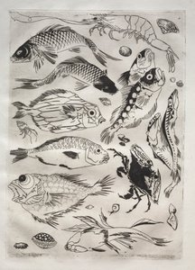 Middagsservering (Rousseau-servering): Fisk (nr. 24) av Felix Bracquemond