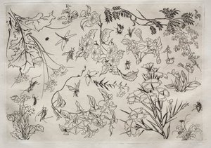 Middagsservering (Rousseau-servering): Blomster (nr. 22) av Felix Bracquemond