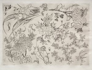 Middagsservering (Rousseau-servering): Blomster (nr. 23) av Felix Bracquemond