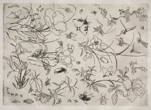 Middagsservering (Rousseau-tjenesten): Blomster og insekter (nr. 15) av Felix Bracquemond
