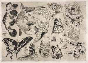 Middagsservering Rousseau-servering: Sommerfugler og fisk nr. 16, 1866. av Felix Bracquemond