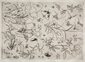 Middagsservering Rousseau-servering: Blomster og insekter nr. 15, 1866. av Felix Bracquemond