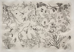 Middagsservering Rousseau-servering: Blomster nr. 22, 1866. av Felix Bracquemond