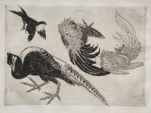 Middagsservering Rousseau-servering: Fasaner og fugl nr. 18, 1866. av Felix Bracquemond