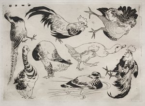 Middagsservering Rousseau-servering: Haner, ender o.l.nr. 13, 1866. av Felix Bracquemond
