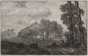 Landskap, etter fransk av Felix Bracquemond