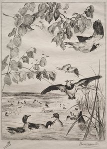 Vivi og krikk, 1862. av Felix Bracquemond