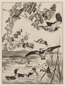 Vivi og krikk, 1862. av Felix Bracquemond