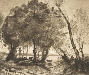 The Lake, 1861. av Felix Bracquemond