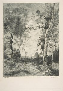 Den hvite hesten, 1858. av Felix Bracquemond
