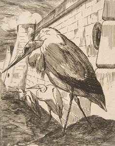 Storkene, 1870-årene, 1870-årene. av Felix Bracquemond