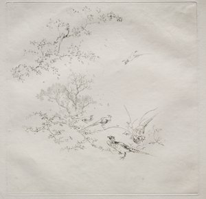 Parisisk tjeneste (Haviland-tjeneste) av Felix Bracquemond