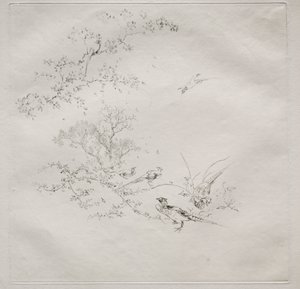 Parisertjeneste (Haviland-tjenesten): Tåke (nr. 1) av Felix Bracquemond