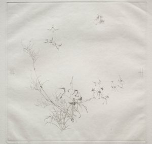 Parisertjeneste (Haviland-tjenesten): Månen (nr. 5) av Felix Bracquemond