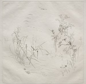 Parisertjeneste Haviland-tjeneste: Rolig nei. 3, 1875. av Felix Bracquemond