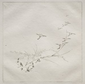 Parisian Service Haviland service: Rett i solen no. 9, 1875. av Felix Bracquemond