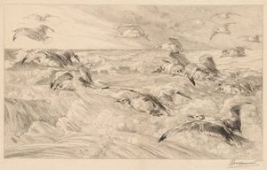  av Felix Bracquemond