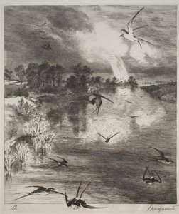 Svaler av Felix Bracquemond