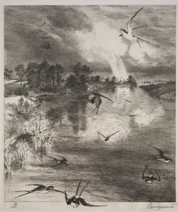 Svalene, 1882. av Felix Bracquemond