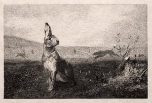 Haren (etter A. de Balleroy) av Felix Bracquemond