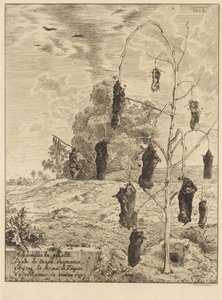 Føflekkene av Felix Bracquemond