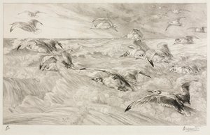 Måkene, ca. 1880. av Felix Bracquemond