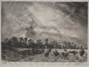Stormskyen, 1878-1887. av Felix Bracquemond