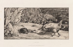  av Felix Bracquemond