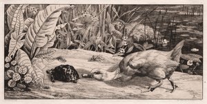 Det ukjente, 1862. av Felix Bracquemond