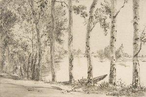 Osp ved Seinen, ca. 1884. av Felix Bracquemond