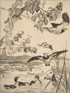 Vipper og Sarcelles, 1862. av Felix Bracquemond