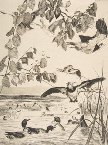 Vipper og Sarcelles, 1862. av Felix Bracquemond