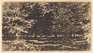 Skog. av Felix Hilaire Buhot