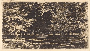 skog av Felix Hilaire Buhot