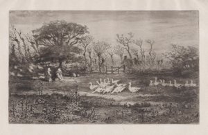 Gjess, 1860-98. av Felix Hilaire Buhot