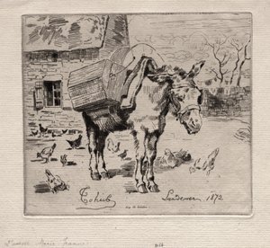 Muldyret, Marie-Jeanne av Felix Hilaire Buhot