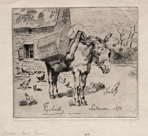 Muldyret, Marie-Jeanne, 1872. av Felix Hilaire Buhot
