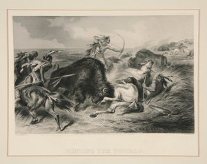 Hunting the Buffalo   1366403   no       norwegian Successfully Translated  Original: View of Kostroma, Russia, 1838. Translat: View of Kostroma, Russia, 1838. 1158247 no norwegian Successfully Translated Original: Valk op een tak Translat: Valk op een tak