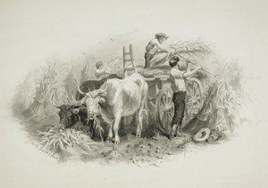 Høyslåttscene av Felix Octavius Carr Darley