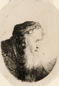Gammel mann med bølgende skjegg av Ferdinand Bol