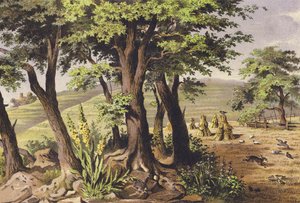  av Ferdinand Karl Klimsch