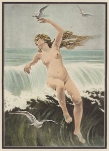 Bølger og måker (farge litho) av Ferdinand Victor Eugene (after) Delacroix