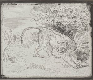 En fanget tiger, 1854. av Ferdinand Victor Eugene Delacroix