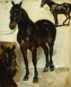 Tre studier av hester; Tre studier av hester, ca. 1823 av Ferdinand Victor Eugene Delacroix