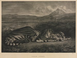 Royal Tiger, 1829. av Ferdinand Victor Eugene Delacroix